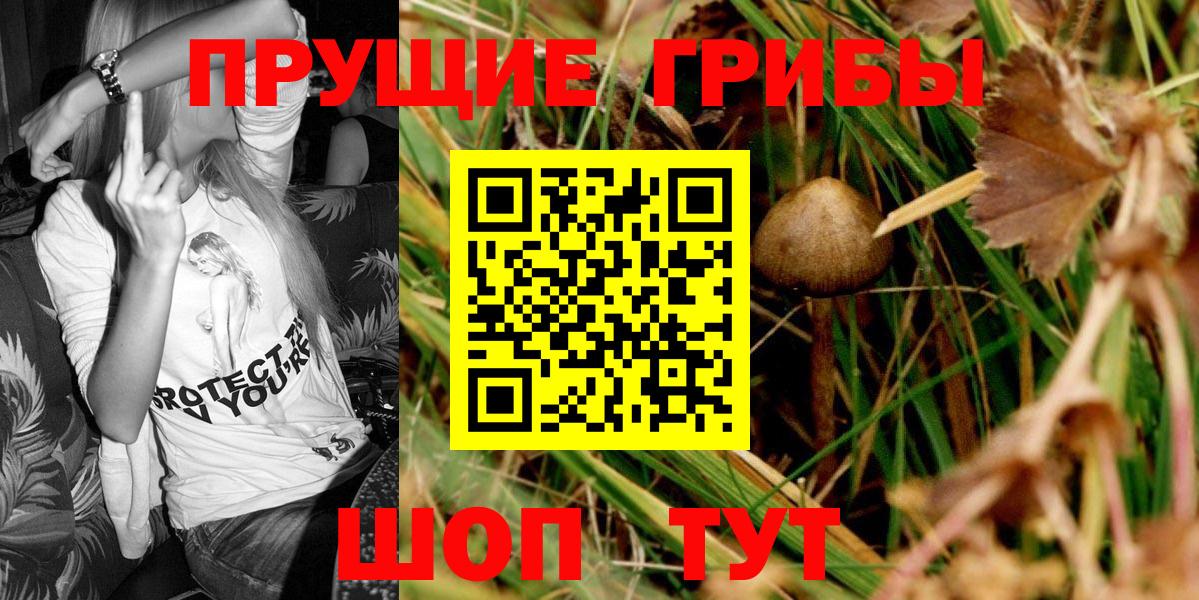Галлюциногенные грибы Cubensis  Вход с VPN  Грозный 