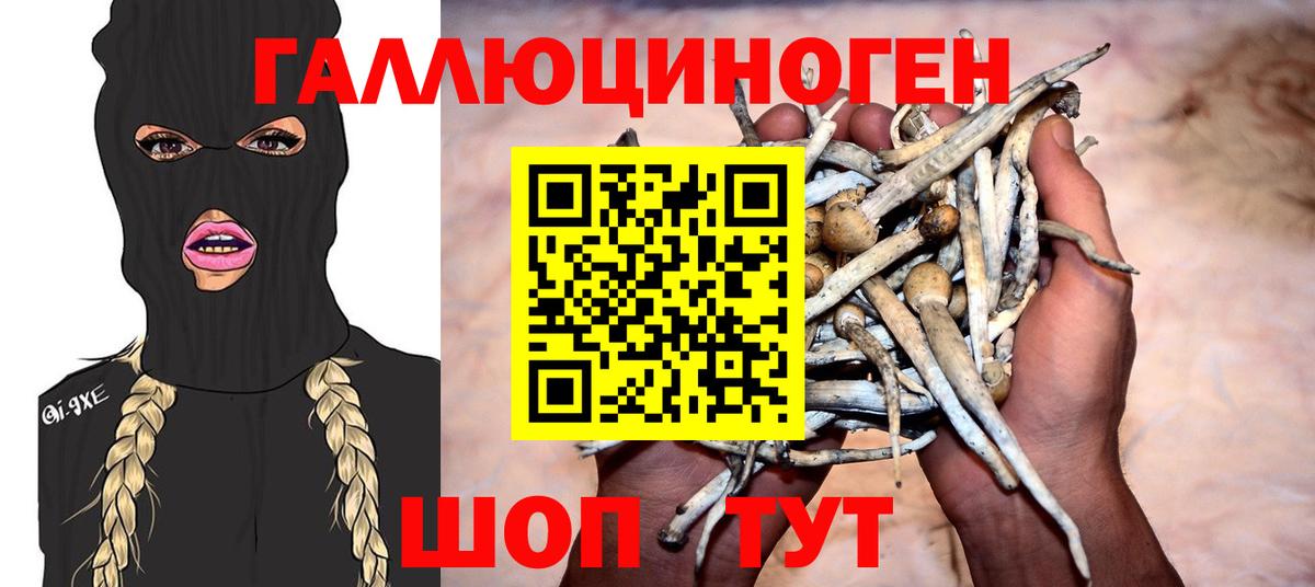 Псилоцибиновые грибы ЛСД Грозный
